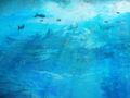 Guild Wars 2 - Gamescom