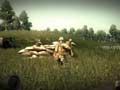 Operation Flashpoint 2: Dragon Rising - El sonido de la guerra