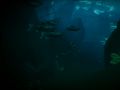 BioShock 2 - Big Sister (2)