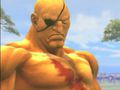 Super Street Fighter IV - Dudley vs. Sagat