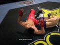 EA Sports MMA - Combate