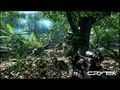 Crysis - Jungla