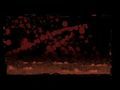 Dementium Nintendo DS