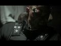 Batman Arkham City - Hugo Strange