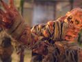 Bulletstorm - �ltima oportunidad