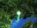 Sacred Odyssey: Rise of Ayden - Tr�iler