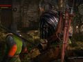 The Witcher 2: Assassins of Kings - Diario de desarrollo (2)
