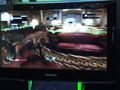 Multijugador Gears of War 3 - Vandal TV GC 2011