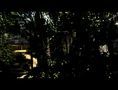 GC: Dead Island