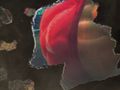 Street Fighter x Tekken - Teaser (1)