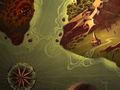 Project Copernicus - Debut