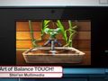 Nintendo - Distribuci�n Digital