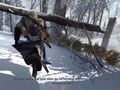 Assassin's Creed III - Jugabilidad (2)
