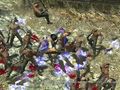 Fist of the North Star Musou 2 - Jugabilidad