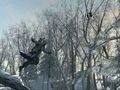 Assassin's Creed III - Ramos y Piqu�