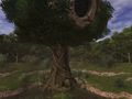 Final Fantasy XI: Seekers of Adoulin - Tr�iler