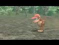 Super Smash Bros Brawl - Fox y Diddy