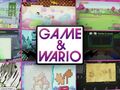 Game & Wario - Caracter�sticas