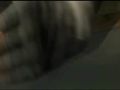 Condemned 2 - Tr�iler