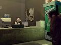 GTA IV - Roman Bellic