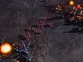 StarCraft II - Acci�n Zerg