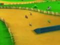 Mario Kart Wii - Moo Moo Country