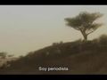 Far Cry 2 - Tr�iler