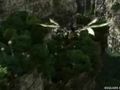 Final Fantasy XIII - Tr�iler E3
