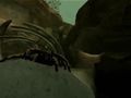 Deadly Creatures - Tar�ntula