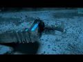 Tomb Raider Underworld - Tr�iler