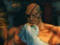 Street Fighter IV - Ryu vs. Sagat