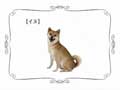 Wii Music - Perro