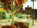 Skate 2 - Creando un mundo