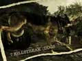 Call of Duty World at War - Multijugador