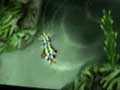 Spore Origins - iPhone