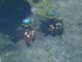 Warhammer 40.000: Dawn of War II - Jugabilidad