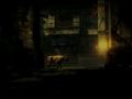 Dark Sector