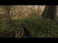 Crysis