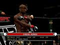UFC 2009 - Cheick Kongo