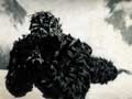 Battlefield Bad Company 2 - Teaser