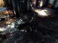 Batman: Arkham Asylum - Combate