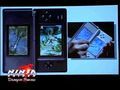 Ninja Gaiden Dragon Sword