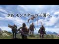 Monster Hunter 3 tri - Anuncio (3)