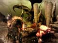 Dragon Age: Origins - Sloth (2)