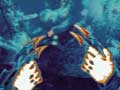 Aliens vs Predator - Tr�iler