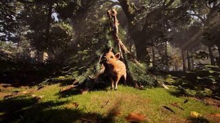 En el primer juego del estudio fundado por el creador de Rayman controlas a un jabalí que busca a su familia